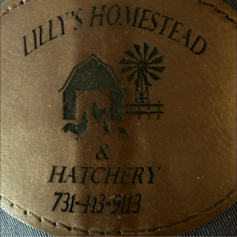 Lilly's Homestead & Hatchery